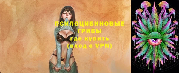 spice Алексеевка