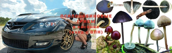мескалин Алексин